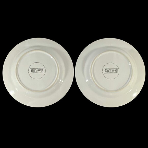 VTG Sakura Pumpkin Hollow David Carter Brown Plates Black Cat & Jack O' Lanterns - Picture 3 of 12